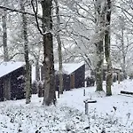 The Squirrel * Sneaton