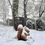 シャレー The Squirrel *