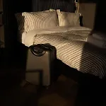 シャレー The Squirrel Sneaton