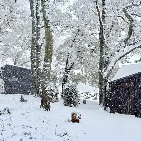 The Squirrel * Sneaton