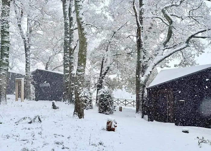 The Squirrel * Sneaton