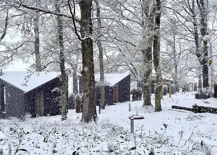 The Squirrel * Sneaton