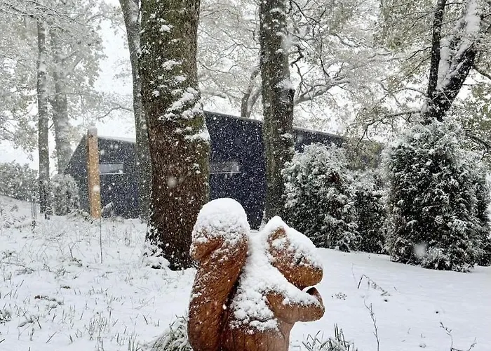 Alpstuga The Squirrel *