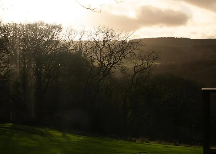 The Squirrel Sneaton