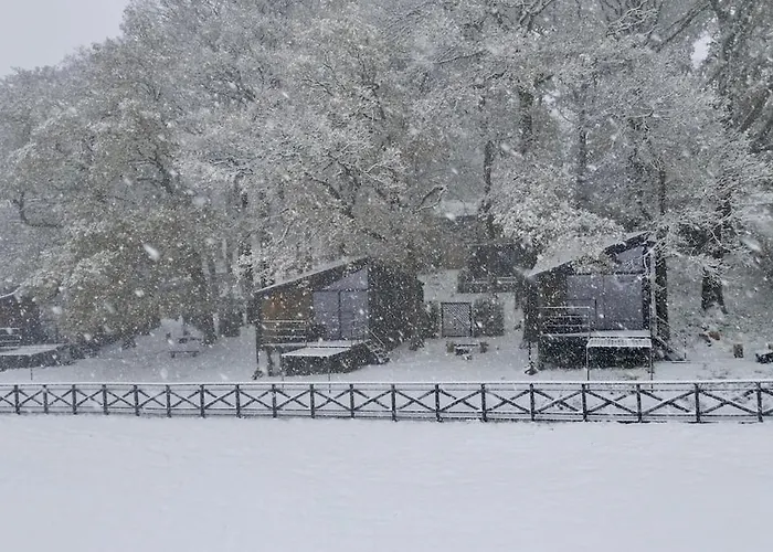 The Squirrel Sneaton