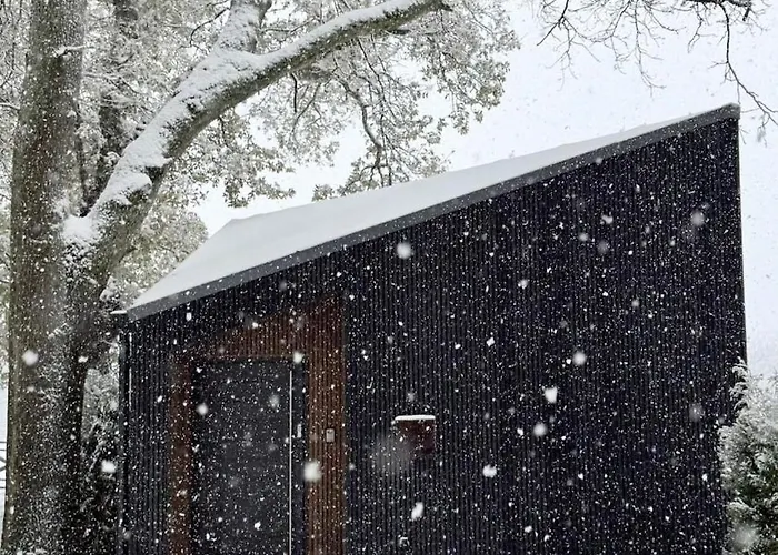 The Squirrel Sneaton