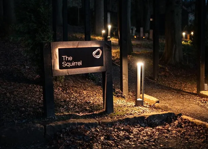 Chalet The Squirrel Sneaton